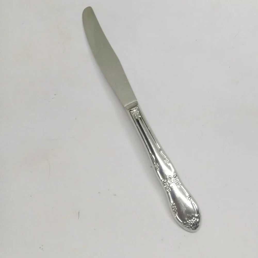 Oneida / WM A Rogers Fenway Stainless Steel Modern Solid Knife-Floral-Daydream